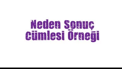 Neden Sonuç Cümlesi Örneği