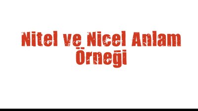 Nitel ve Nicel Anlam Örneği