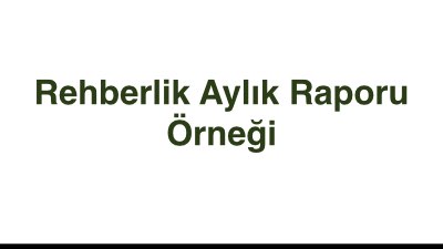 Rehberlik Aylık Raporu Örneği