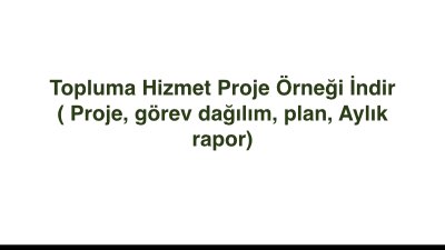 Topluma Hizmet Proje Örneği İndir ( Proje, görev dağılım, plan, Aylık rapor)