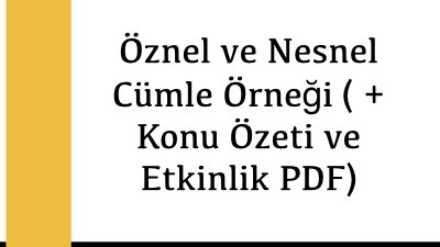 Öznel ve Nesnel Cümle Örneği ( + Konu Özeti ve Etkinlik PDF)