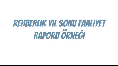 Rehberlik Yıl Sonu Faaliyet Raporu Örneği