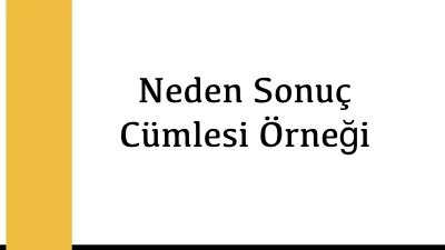 Neden Sonuç Cümlesi Örneği