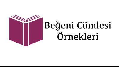 Beğeni Cümlesi Örnekleri