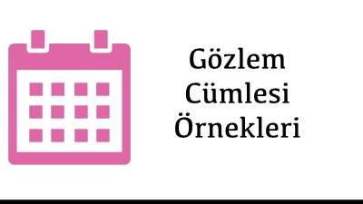 Gözlem Cümlesi Örnekleri