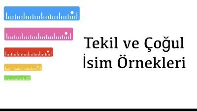 Tekil ve Çoğul İsim Örnekleri