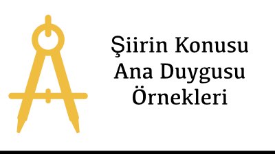 Şiirin Konusu Ana Duygusu Örnekleri 