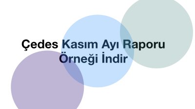 Çedes Kasım Ayı Raporu Örneği İndir