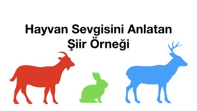 Hayvan Sevgisini Anlatan Şiir Örneği