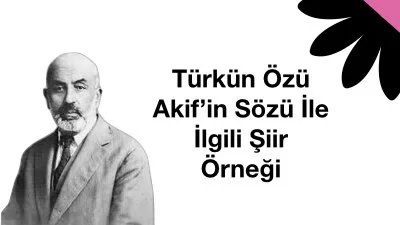 Türkün Özü Akif’in Sözü İle İlgili Şiir Örneği